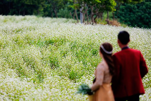 Về Đơn Dương ngắm hoa tam giác mạch khoe sắc - ảnh 3