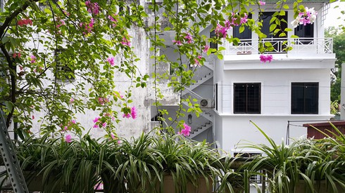Ông chủ tiệm may Hà Nội chăm ốc đảo cây xanh “nhàn tênh” - ảnh 2