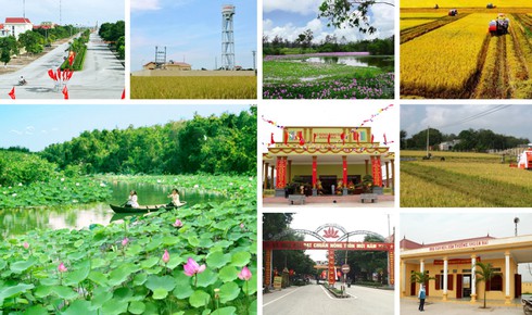 Ninh Bình: Ngành Thông tin và Truyền thông tích cực tham gia xây dựng NTM - ảnh 1