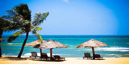 Ngành Du lịch cụ thể hóa Nghị quyết ĐH Đảng XII thành các mục tiêu hành động - ảnh 1