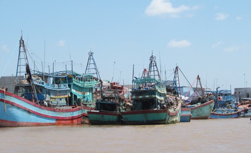 Bỏ quy định hoàn thuế GTGT tàu khai thác hải sản đóng mới 400CV trở lên - ảnh 1