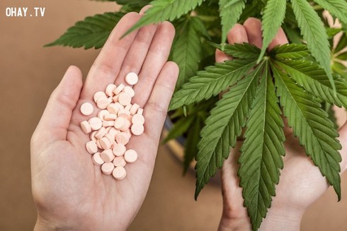 Rao bán cần sa trên facebook, lãnh án tù - ảnh 1