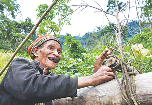 20 năm sống cô độc ở rừng sâu - ảnh 1