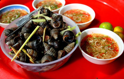 Có nên ăn ốc khi mang thai? - ảnh 1