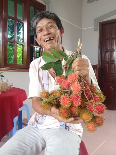 Phát hiện giống chôm chôm mới cực ngon tại Bến Tre - ảnh 2