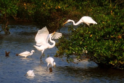 Du lịch cộng đồng: Ấm tình văn hóa làng quê Việt - ảnh 2