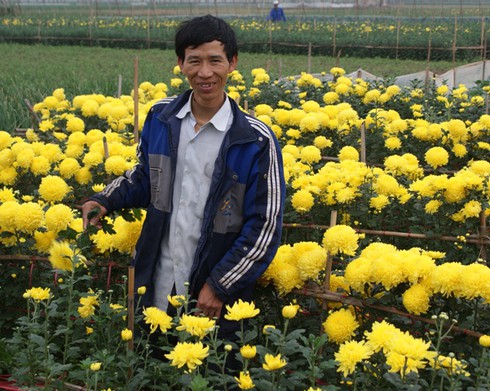 Vùng hoa Mê Linh khoe sắc trong giá rét - ảnh 2