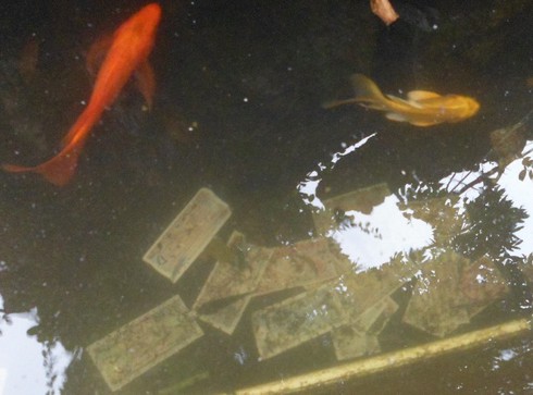 Tiền công đức rải vô tội vạ ở chùa Trấn Quốc - ảnh 1