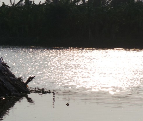 Đánh cá mang về quê làm quà, 2 vợ chồng tử vong - ảnh 2