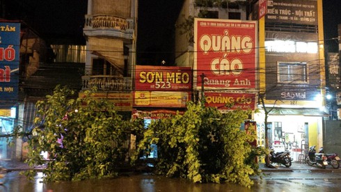 Hà Nội: Cây đổ gãy đè chết một lái xe taxi trong mưa dông - ảnh 2