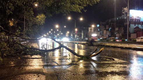 Hà Nội: Cây đổ gãy đè chết một lái xe taxi trong mưa dông - ảnh 4