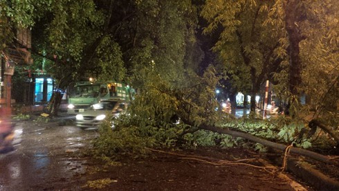 Hà Nội: Cây đổ gãy đè chết một lái xe taxi trong mưa dông - ảnh 7