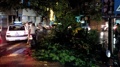 Hà Nội: Cây đổ gãy đè chết một lái xe taxi trong mưa dông - ảnh 9