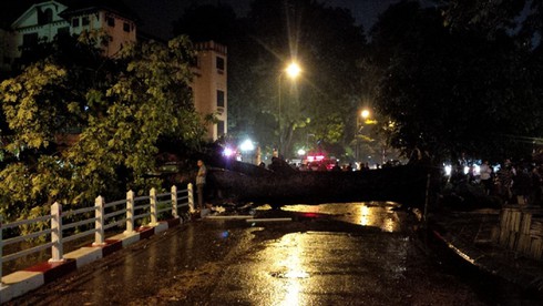 Hà Nội: Cây đổ gãy đè chết một lái xe taxi trong mưa dông - ảnh 11