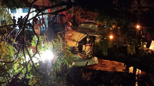 Hà Nội: Cây đổ gãy đè chết một lái xe taxi trong mưa dông - ảnh 12