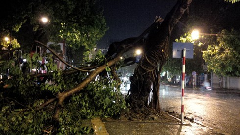 Hà Nội: Cây đổ gãy đè chết một lái xe taxi trong mưa dông - ảnh 13