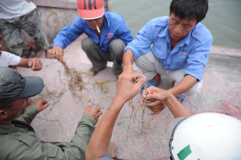 Lật thuyền trong cơn dông, 2 người thiệt mạng trên Hồ Tây - ảnh 1