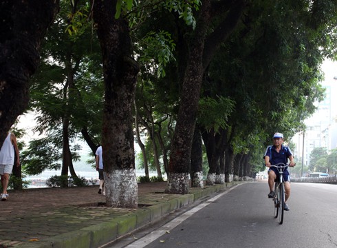 Một sớm mai Hà Nội thanh bình dưới những tán cây cổ thụ - ảnh 6