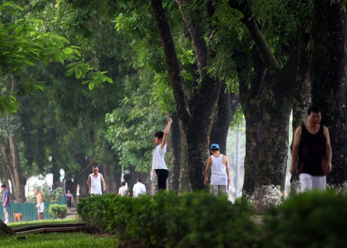 Một sớm mai Hà Nội thanh bình dưới những tán cây cổ thụ - ảnh 7