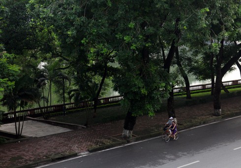 Một sớm mai Hà Nội thanh bình dưới những tán cây cổ thụ - ảnh 1