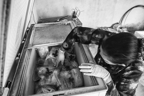 Chuyện người phụ nữ đi chôn cất những sinh linh bé nhỏ - ảnh 4