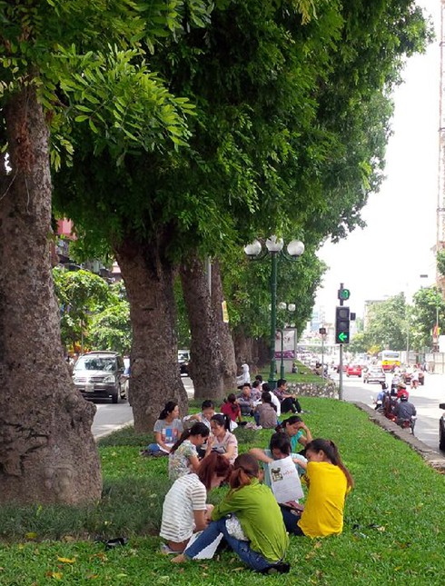 Bỏ ăn trưa, xếp hàng chờ nộp hồ sơ thi vào Tổng cục Thuế - ảnh 4