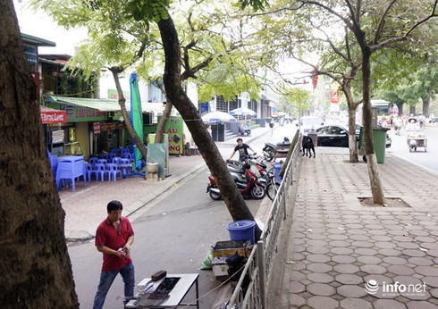 Thay thế hơn 200 cây xanh trên đường Kim Mã, Nguyễn Thái Học - ảnh 2