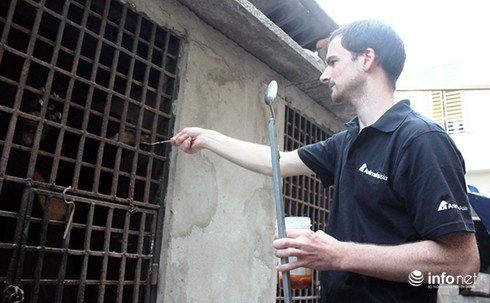 Cứu thêm 8 cá thể gấu bị nuôi nhốt tại Quảng Ninh - ảnh 1