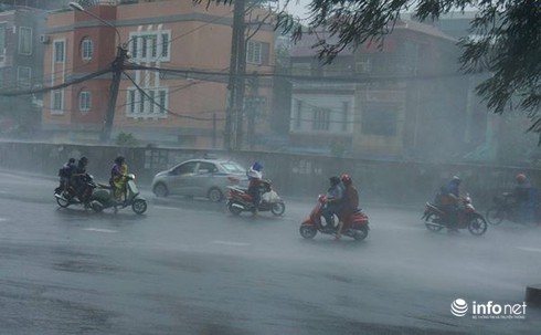 Chùm ảnh Hà Nội, Bắc bộ: cây đổ, đường ngập, mưa lớn do ảnh hưởng bão số 3 - ảnh 8