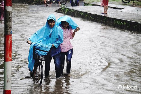 Chùm ảnh Hà Nội, Bắc bộ: cây đổ, đường ngập, mưa lớn do ảnh hưởng bão số 3 - ảnh 10