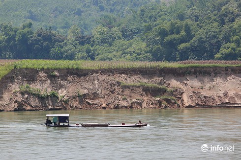 Tuyên Quang: Khai thác cát làm sạt lở Di tích lịch sử Quốc gia - ảnh 1