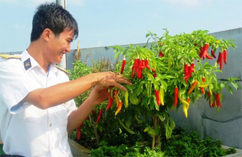 Thiêng liêng như Tết Trường Sa - ảnh 1