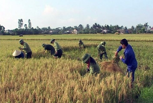 Vào xem kho dự trữ, bảo quản vũ khí của Quân khu 4 - ảnh 16