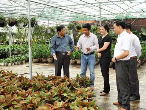 Bắc Ninh xây dựng nông thôn mới: Thành công từ sự phối hợp các cấp - ảnh 1