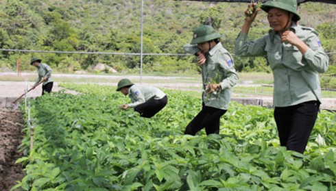 Phụ nữ Trung đoàn tàu ngầm 196: Sáng bắn súng, chiều chăm rau - ảnh 4