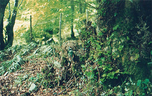 Xạ thủ bắn tỉa: Từ phim ảnh tới thực tế (phần cuối) - ảnh 2