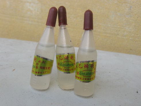 Thuốc điều hòa sinh trưởng: Vì sao khó quản lý? - ảnh 1