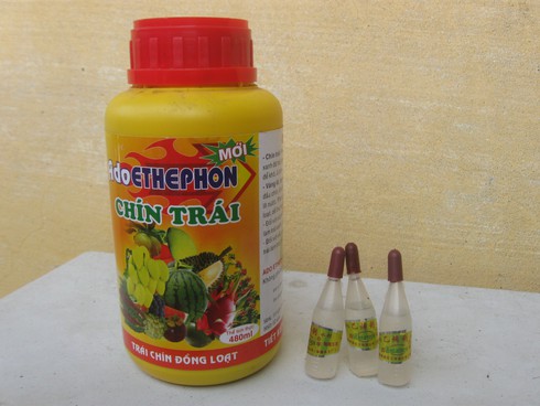Thuốc điều hòa sinh trưởng: Vì sao khó quản lý? - ảnh 2
