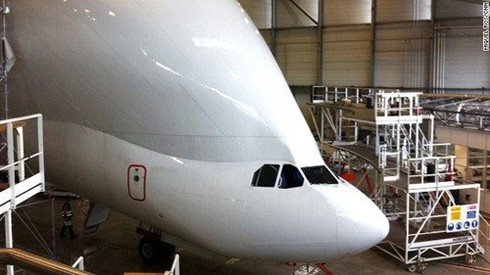 Beluga - 'cá voi bay