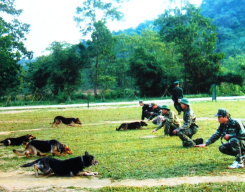 Chó nghiệp vụ biên phòng và các huấn luyện viên đặc biệt - ảnh 1