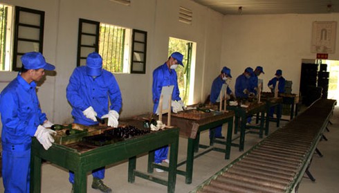 Qui trình bảo dưỡng đạn pháo trong quân đội Việt Nam - ảnh 1