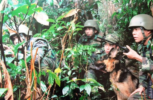 Cùng chó nghiệp vụ phá án: Những cuộc chiến sinh tử - ảnh 3