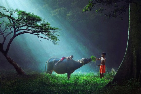 Những hình ảnh khiến ta nhớ thời