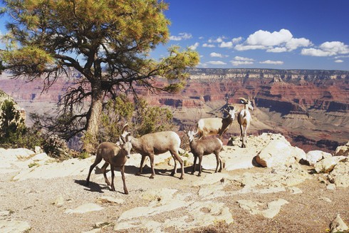 Trước khi chết nên đến những điểm này ở Tây Nam nước Mỹ - ảnh 11