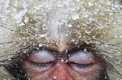 Xúc động với các bức ảnh Travel Photographer of the Year - ảnh 2
