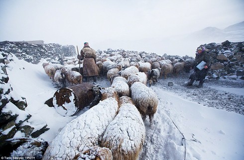 Xúc động với các bức ảnh Travel Photographer of the Year - ảnh 6