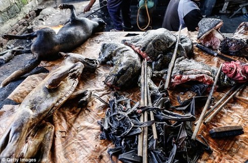 Hình ảnh gây shock ở 'chợ thực phẩm kinh dị nhất thế giới' - ảnh 5