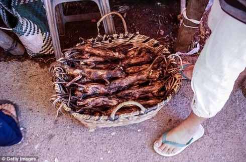 Hình ảnh gây shock ở 'chợ thực phẩm kinh dị nhất thế giới' - ảnh 9