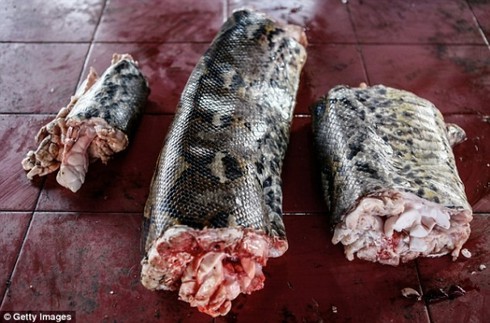 Hình ảnh gây shock ở 'chợ thực phẩm kinh dị nhất thế giới' - ảnh 8