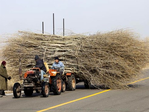 Những hình ảnh xe chở hàng quá tải trên thế giới - ảnh 7
